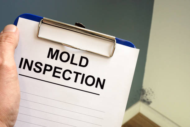 Best Industrial Mold Remediation  in Crandon Lakes, NJ